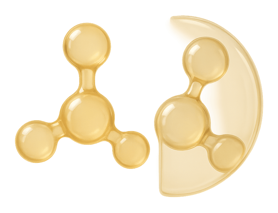 Una forma molecular ámbar y otra resguardada dentro de una envoltura translúcida, que evoca la sensibilidad a la luz